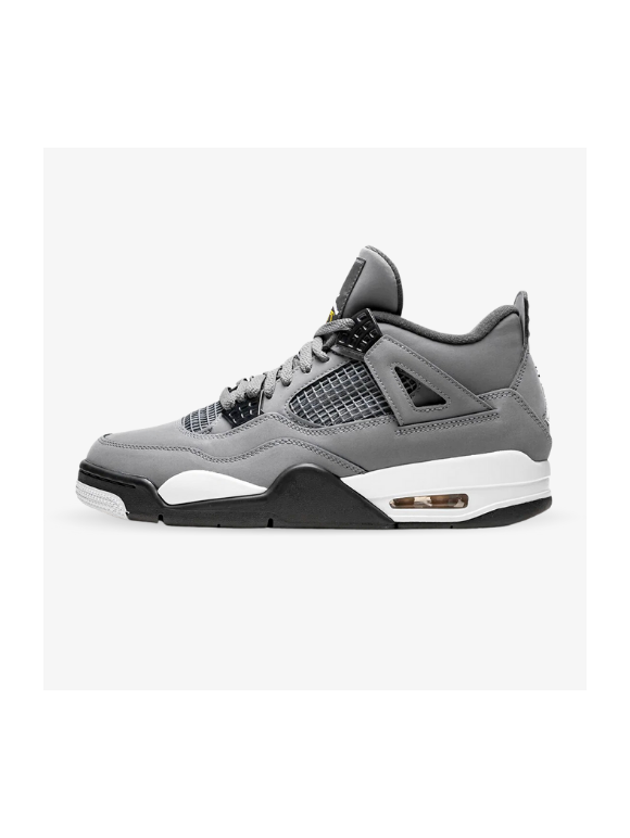 Air Jordan 4 Grises